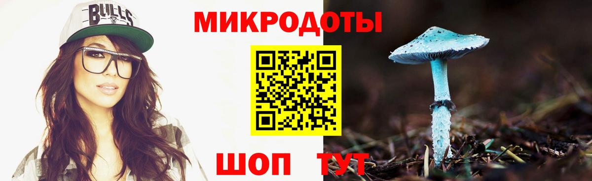 Псилоцибиновые грибы мухоморы Новоалтайск